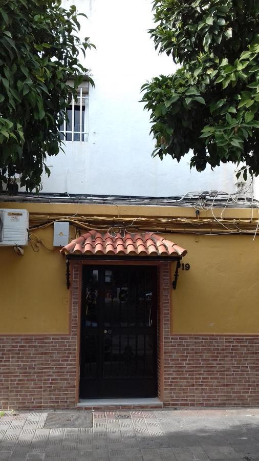 Apartamento Arbol De Vida - Cerca Estadio Cartuja 塞维利亚 外观 照片