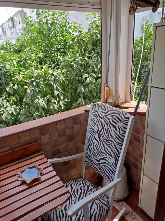 Apartamento Arbol De Vida - Cerca Estadio Cartuja 塞维利亚 外观 照片